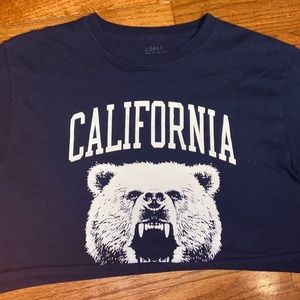 brandy melville cropped t shirt